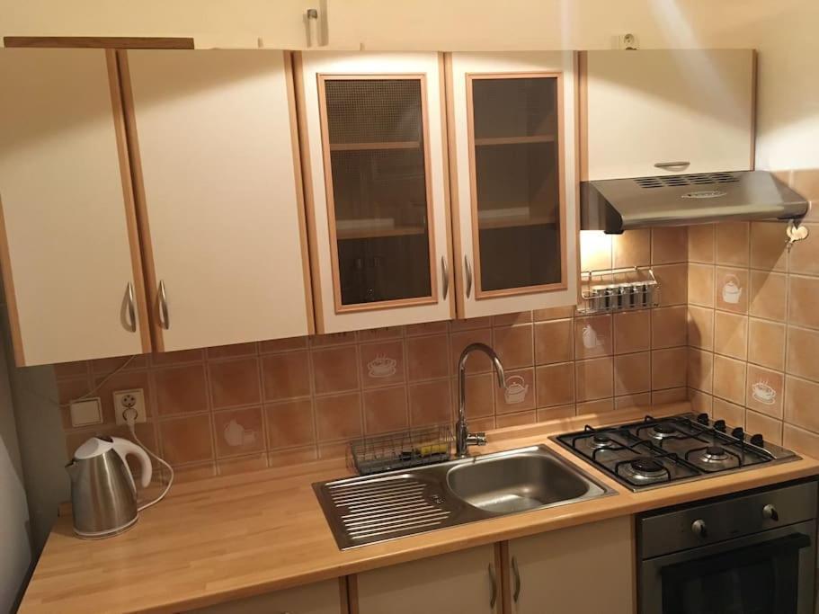 Utulne Ubytovani U Centra V Blizkosti Vystaviste Μπρνο Εξωτερικό φωτογραφία