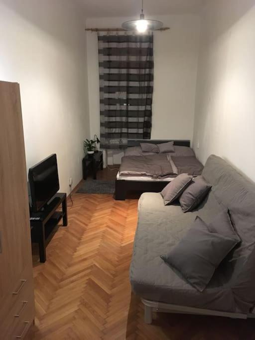 Utulne Ubytovani U Centra V Blizkosti Vystaviste Μπρνο Εξωτερικό φωτογραφία